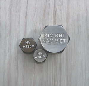 Bulong tiêu chuẩn